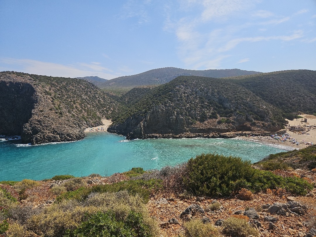 Cala Domestica
